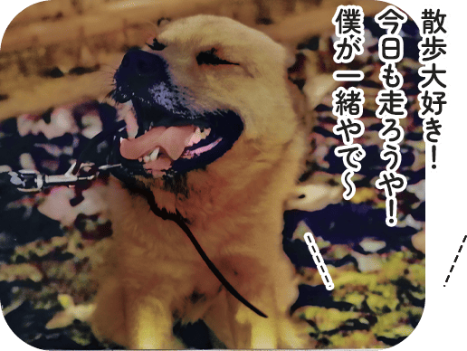 散歩大好き!今日も走ろうや!僕が一緒やで~