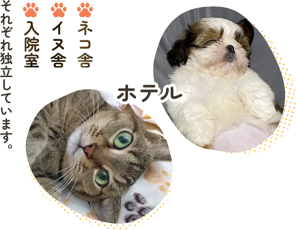ネコ舎イヌ舎入院室それぞれ独立しています。