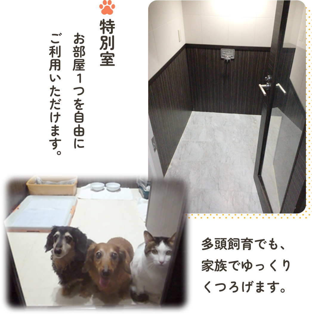 特別室お部屋1つを自由にご利用いただけます。