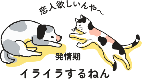 発情期イライラするねん
