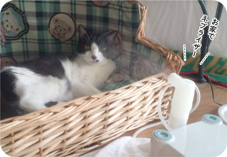 お家でネブライザー