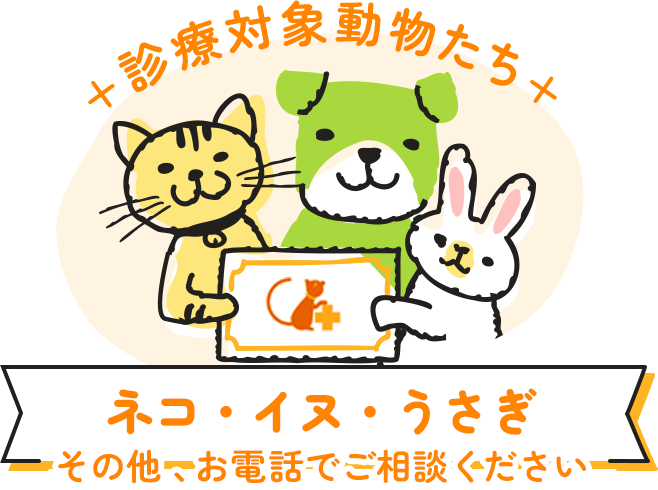 対象動物たちネコ・イヌ・うさぎ。その他 、お電話でご相談ください